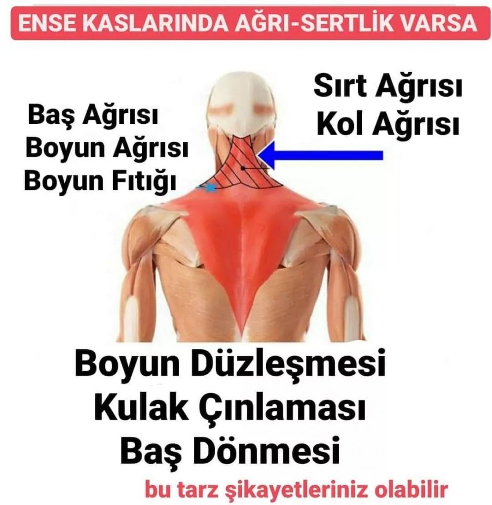 fuat-resitoglu-fizyoterapi-danismanlik-merkezi-bizden-goruntuler (25)